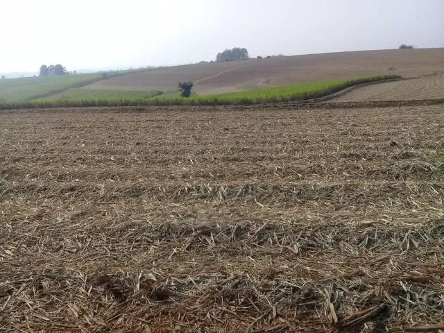 Fazenda venda em Região Imediata de Sorocaba, Região Metropolitana de Sorocaba