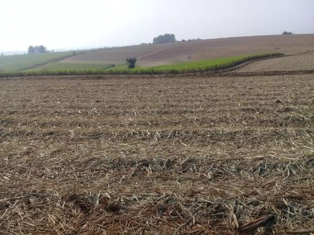 Fazenda venda em Sorocaba
