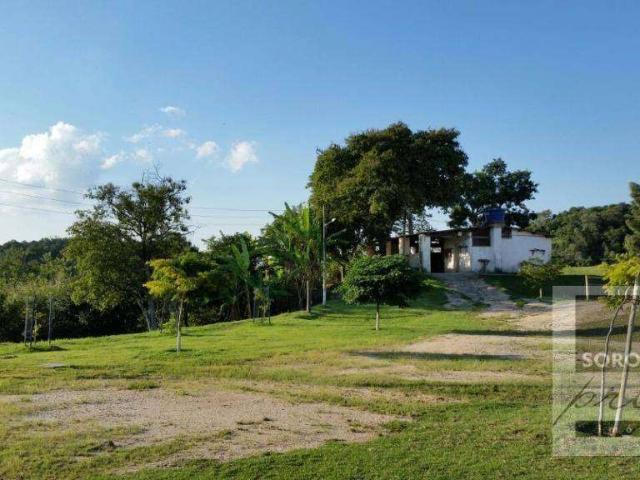 Fazenda venda em Região Imediata de Ourinhos, Ourinhos