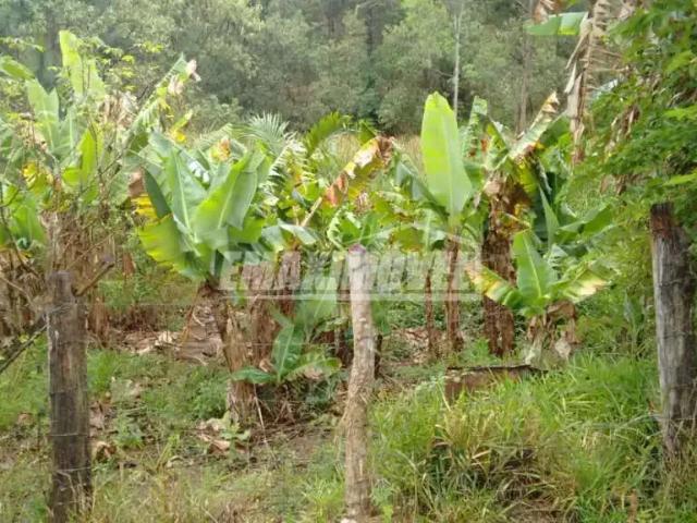 Fazenda venda em Região Imediata de Sorocaba, Região Metropolitana de Sorocaba