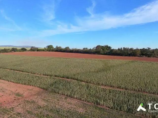 Fazenda venda em Região Imediata de Sorocaba, Região Metropolitana de Sorocaba