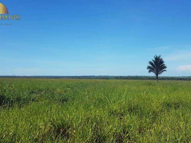 Fazenda venda em Recanto Seguro, Sorriso