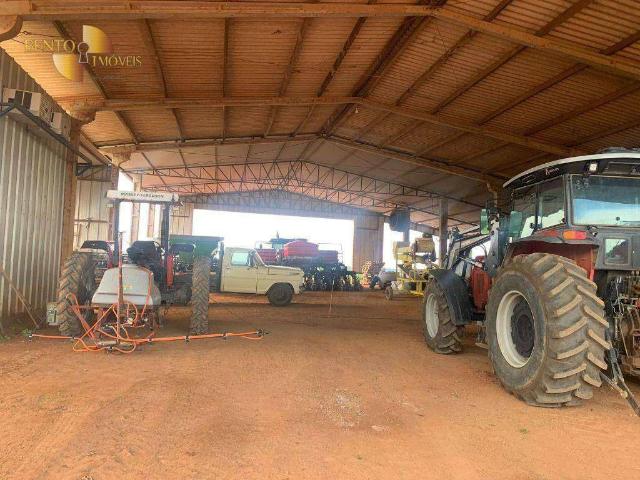 Fazenda venda em Recanto Seguro, Sorriso