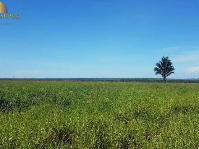 Fazenda venda em Região Geográfica Imediata de Sorriso, Sorriso