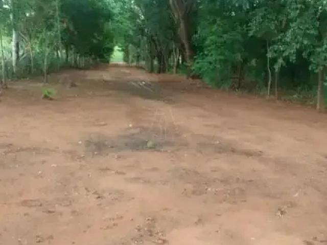 Fazenda venda em Região Imediata de Jales, Suzanápolis