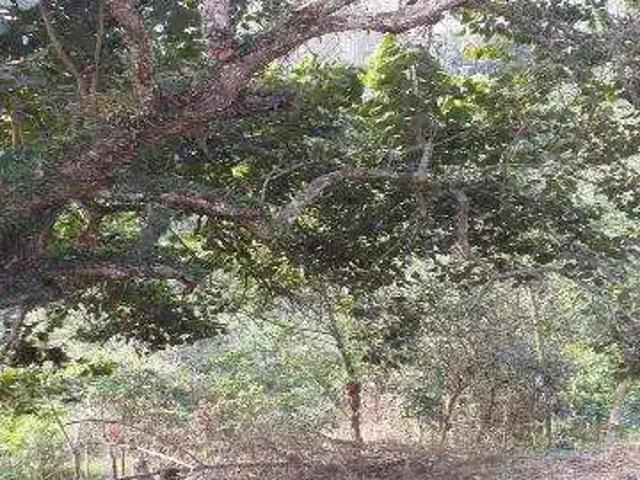 Fazenda venda em Região Imediata de São Paulo, Região Metropolitana de São Paulo