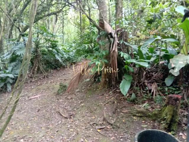 Fazenda venda em Região Imediata de São Paulo, Região Metropolitana de São Paulo