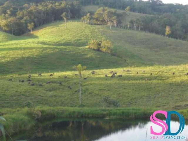 Fazenda venda em Região Imediata de São Paulo, Região Metropolitana de São Paulo
