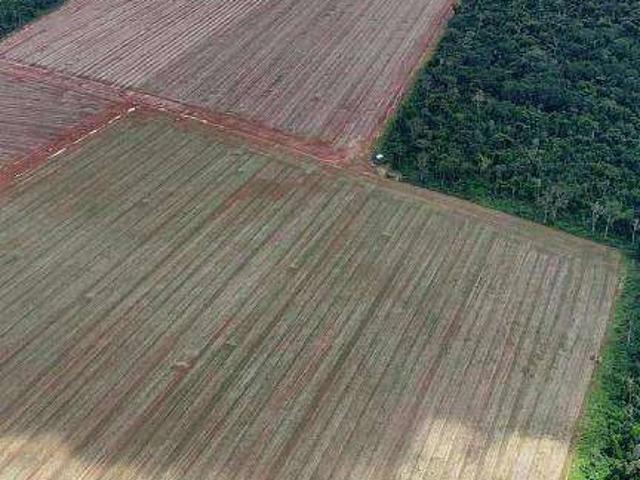 Fazenda venda em Tabaporã, Região Geográfica Intermediária de Sinop