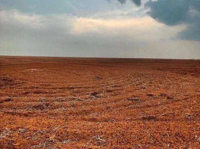 Fazenda venda em Região Geográfica Imediata de Juara, Tabaporã