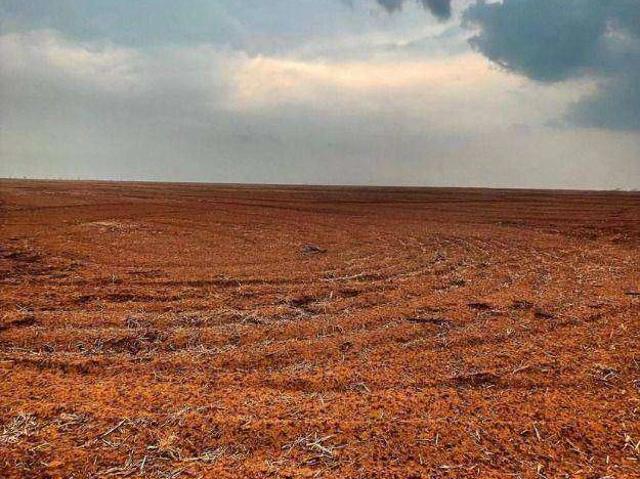Fazenda venda em Tabaporã, Região Geográfica Intermediária de Sinop