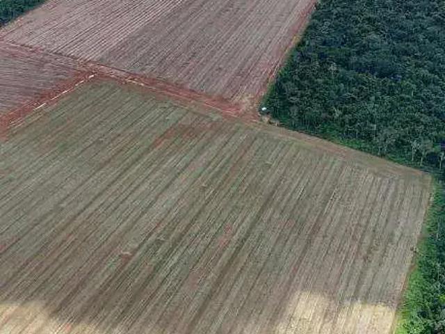 Fazenda venda em Região Geográfica Imediata de Juara, Tabaporã
