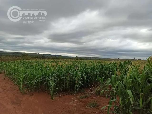 Fazenda venda em Tacuru, Mato Grosso do Sul