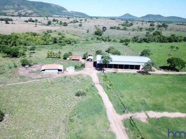 Fazenda venda em Região Geográfica Imediata de Dianópolis, Taguatinga
