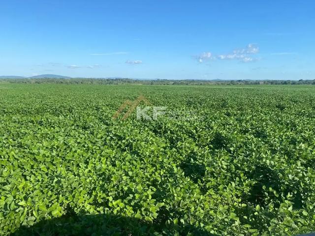 Fazenda venda em Região Geográfica Imediata de Gurupi, Talismã