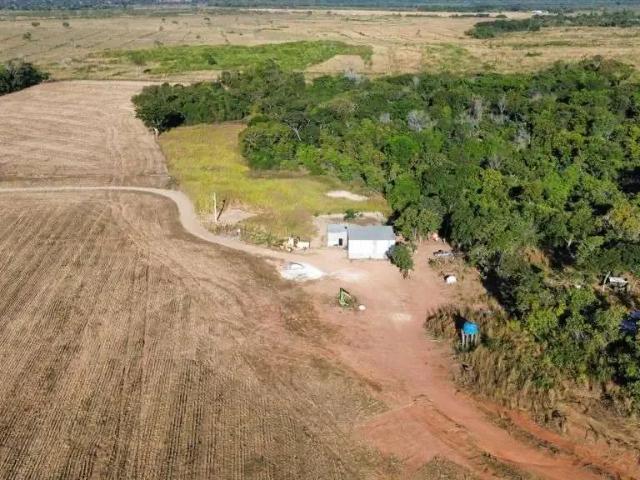 Fazenda venda em Região Geográfica Imediata de Gurupi, Talismã