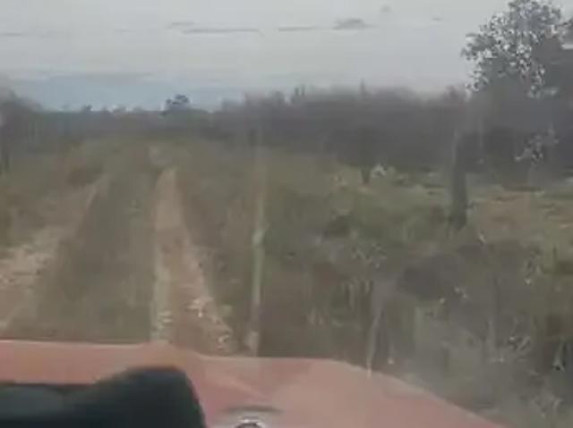 Fazenda venda em Região Geográfica Imediata de Gurupi, Talismã