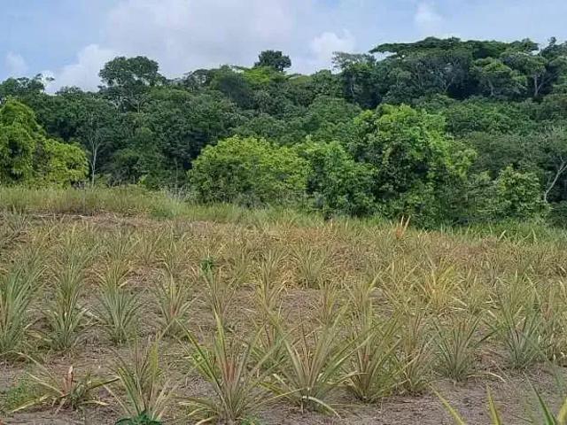 Fazenda venda em Região Geográfica Imediata de Barreiros-Sirinhaém, Tamandaré