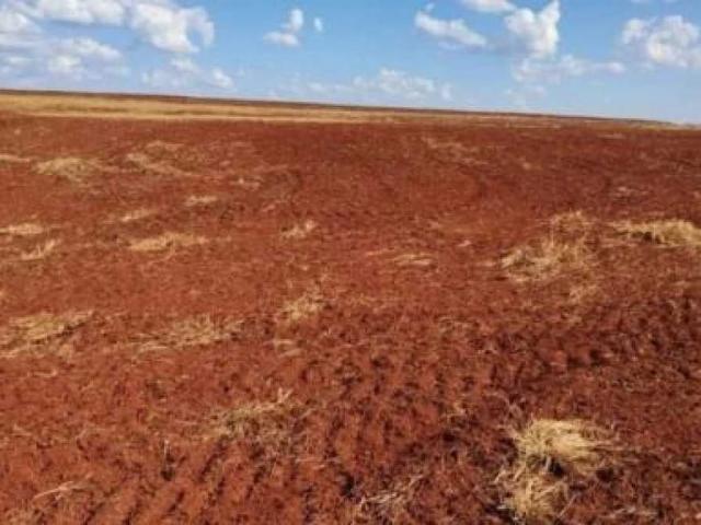 Fazenda venda em Tamarana, Região Geográfica Intermediária de Londrina