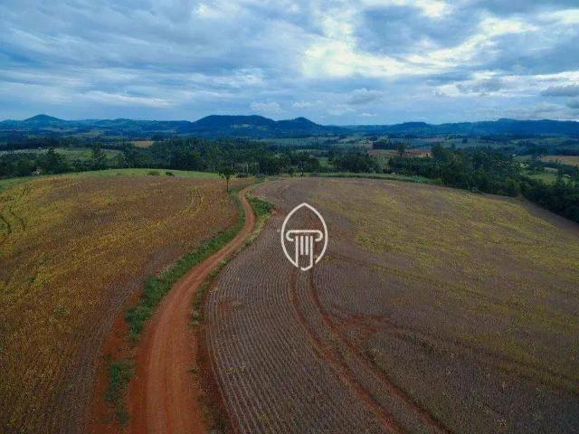Fazenda venda em Região Geográfica Imediata de Londrina, Tamarana