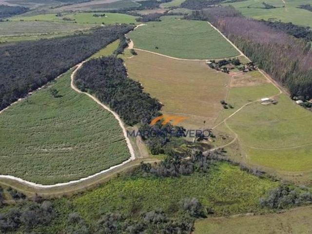 Sítio e chácara venda em Região Imediata de São João da Boa Vista, Região Metropolitana de Ribeirão Preto