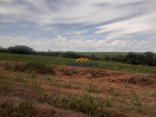 Sítio e chácara venda em Região Imediata de São João da Boa Vista, Região Metropolitana de Ribeirão Preto