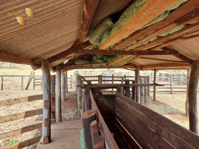 Fazenda venda em Jardim Tangará II, Tangará da Serra