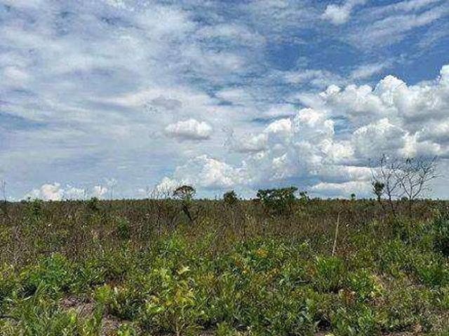 Fazenda venda em Região Geográfica Imediata de Tangará da Serra, Tangará da Serra