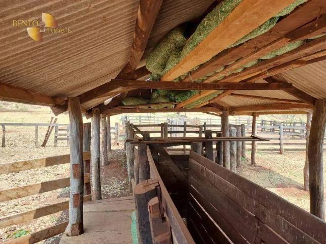 Fazenda venda em Região Geográfica Imediata de Tangará da Serra, Tangará da Serra