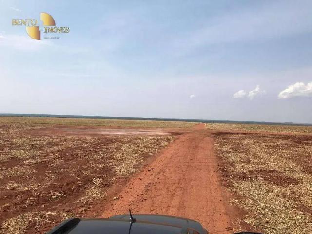 Fazenda venda em Região Geográfica Imediata de Tangará da Serra, Tangará da Serra