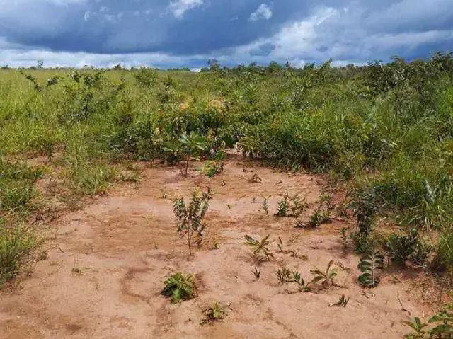 Fazenda venda em Região Geográfica Imediata de Tangará da Serra, Tangará da Serra