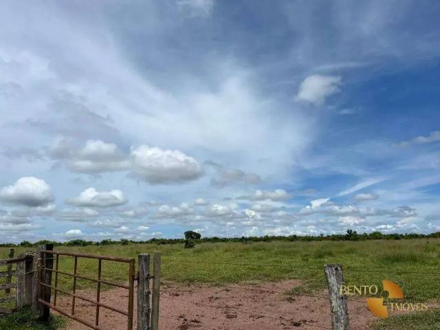Fazenda venda em Região Geográfica Imediata de Tangará da Serra, Tangará da Serra