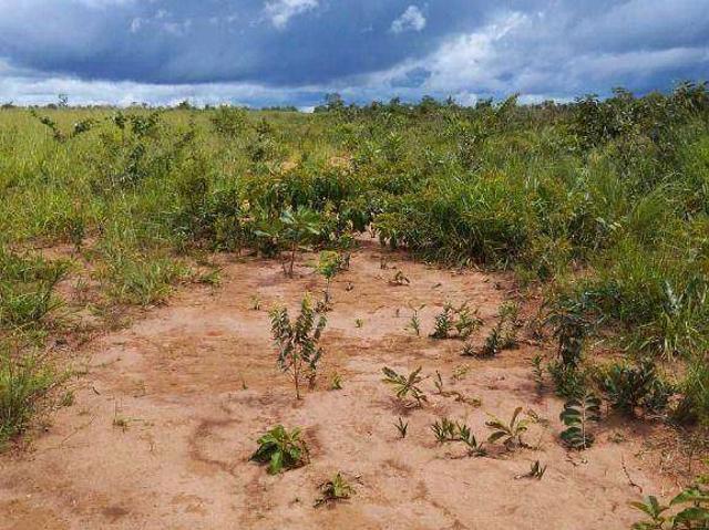 Fazenda venda em Jardim Tangará II, Tangará da Serra