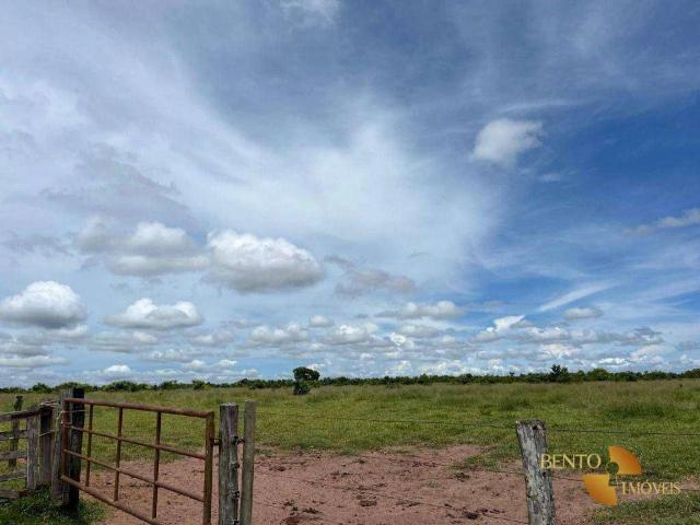 Fazenda venda em Jardim Tangará II, Tangará da Serra