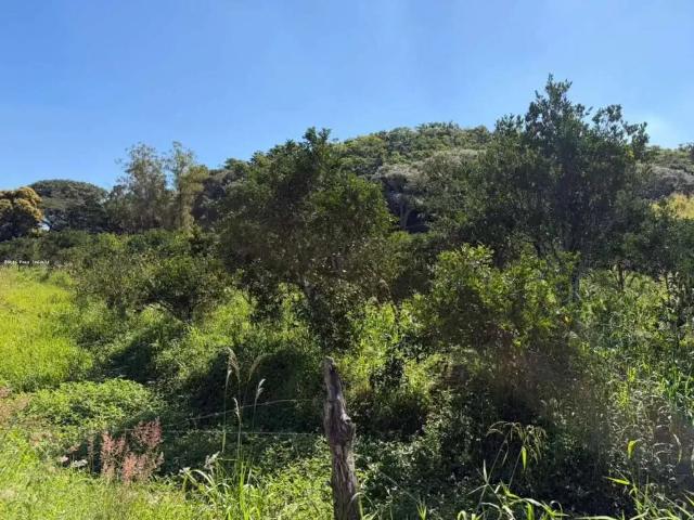 Fazenda venda em Região Geográfica Imediata do Rio de Janeiro, Região Metropolitana do Rio de Janeiro