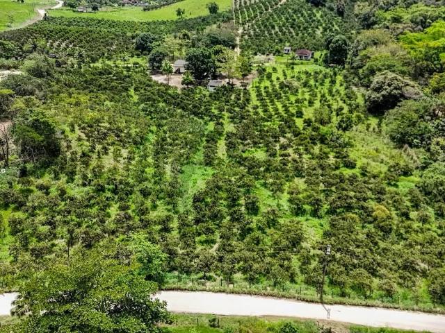 Fazenda venda em Bulhões, Tanguá