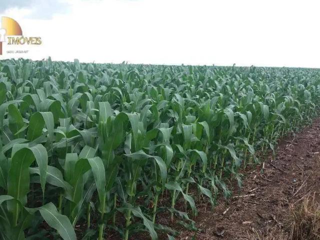 Fazenda venda em Região Geográfica Imediata de Sorriso, Tapurah