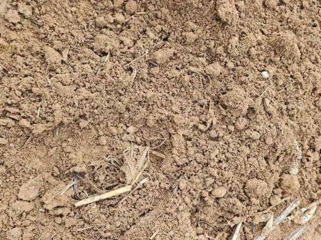 Fazenda venda em Região Geográfica Imediata de Sorriso, Tapurah
