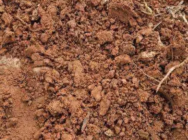 Fazenda venda em Região Geográfica Imediata de Sorriso, Tapurah