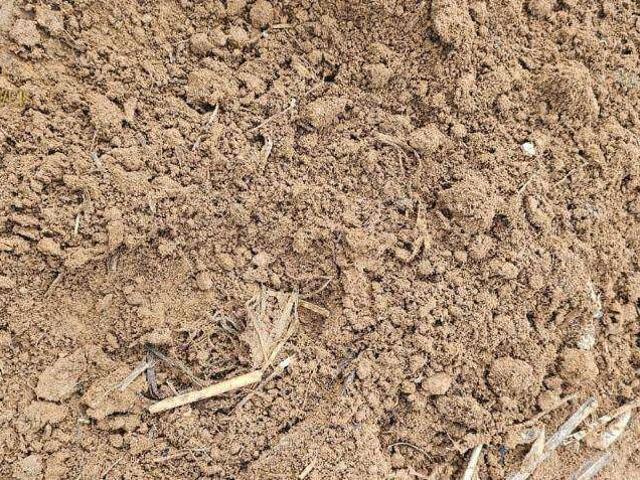 Fazenda venda em Tapurah, Região Geográfica Intermediária de Sinop