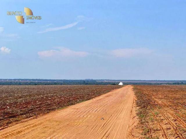 Fazenda venda em Região Geográfica Imediata de Cuiabá, Região Metropolitana do Vale do Rio Cuiabá