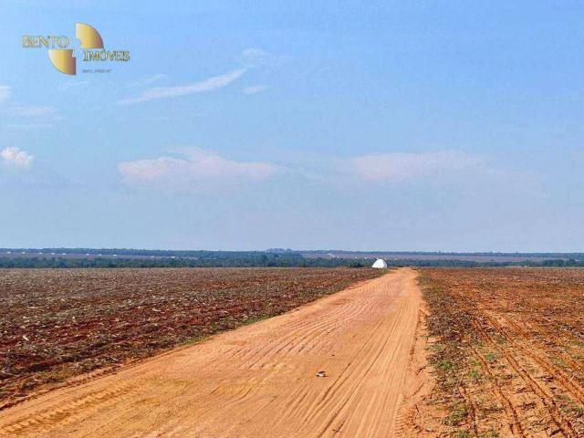 Fazenda venda em Cristo Rei, Várzea Grande