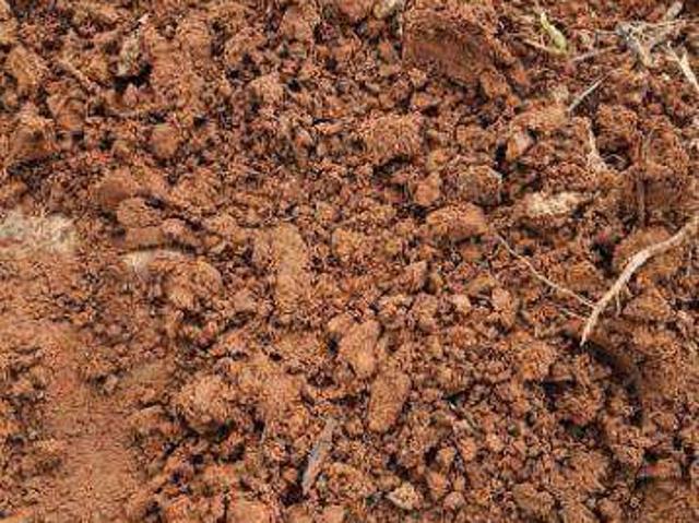 Fazenda venda em Tapurah, Região Geográfica Intermediária de Sinop