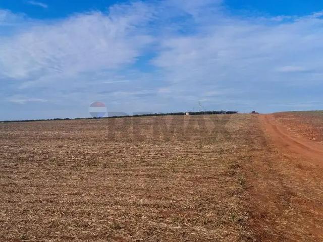 Fazenda venda em Região Imediata de Barretos, Região Metropolitana de Ribeirão Preto