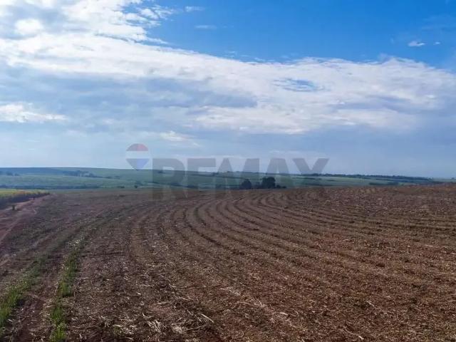 Fazenda venda em Região Imediata de Barretos, Região Metropolitana de Ribeirão Preto
