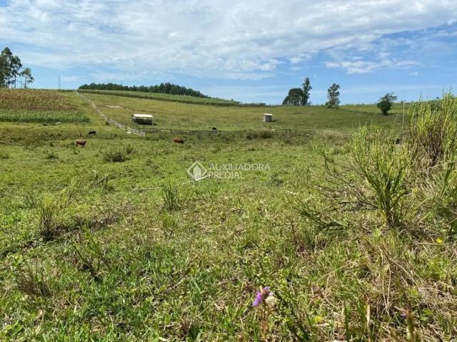 Fazenda venda em Fazenda Fialho, Taquara