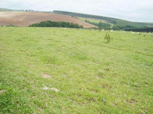 Sítio e chácara venda em Taquarituba