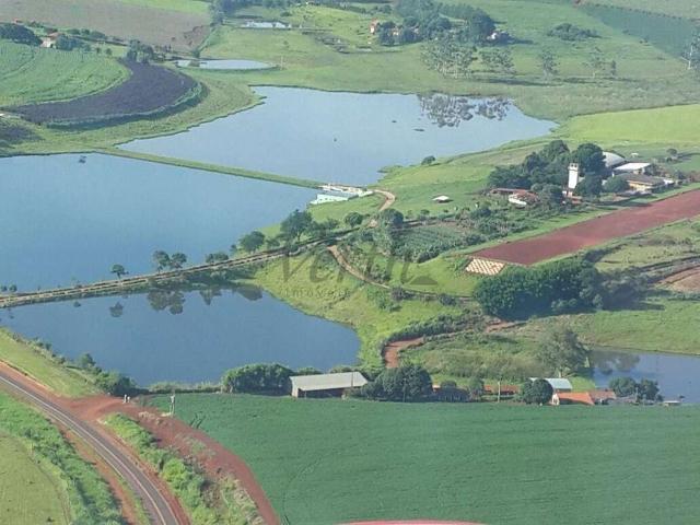 Fazenda venda em Região Imediata de Avaré, Taquarituba