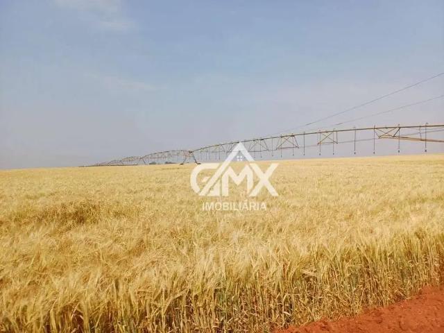 Fazenda venda em Região Imediata de Avaré, Taquarituba