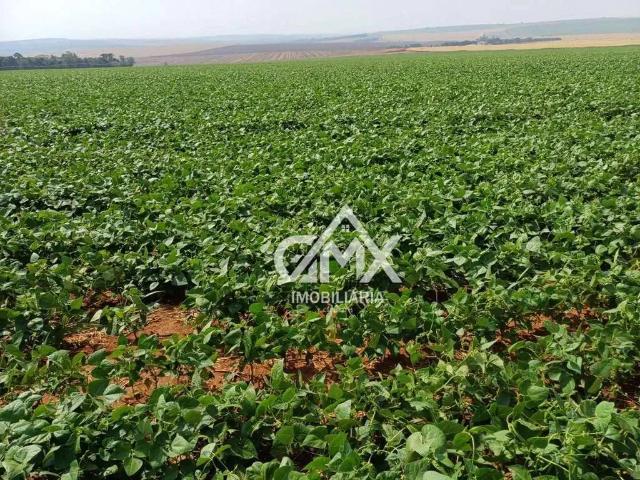 Fazenda venda em Região Imediata de Avaré, Taquarituba
